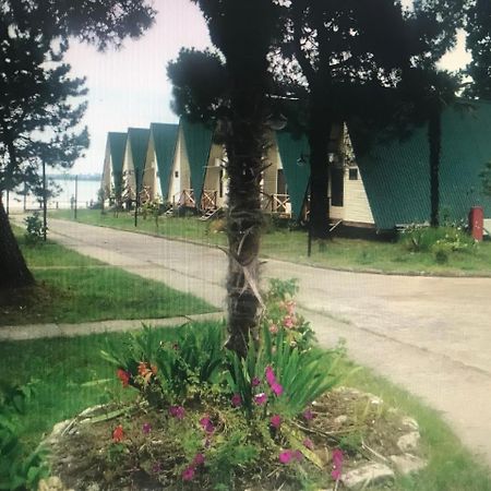 Kyalasur Hotel Sukhumi Exteriör bild
